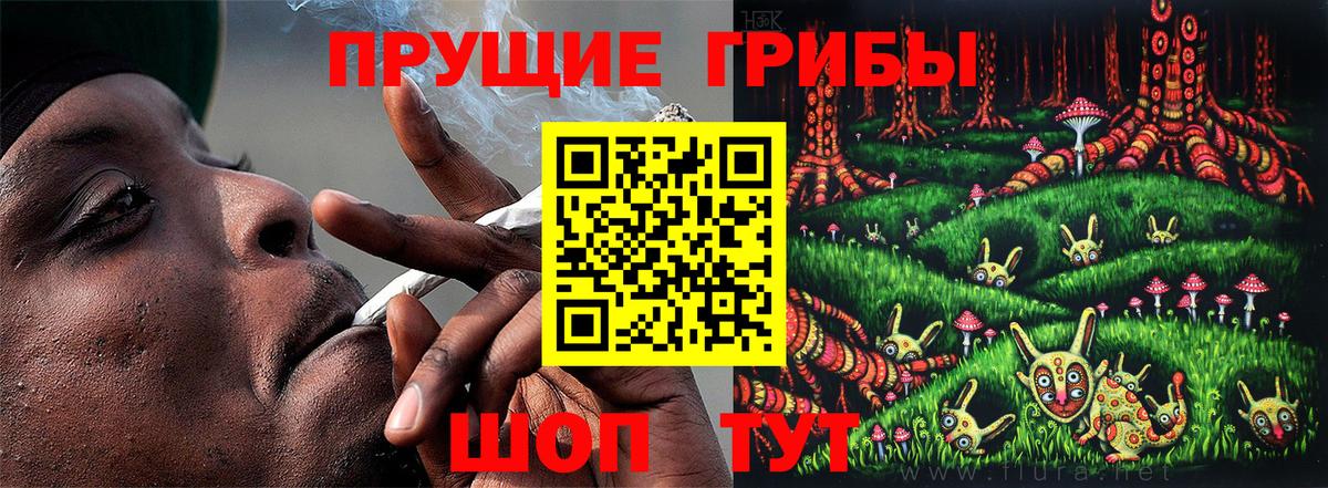 Галлюциногенные грибы Magic Shrooms  Вход с VPN  Псилоцибиновые грибы мухоморы  Фурманов 