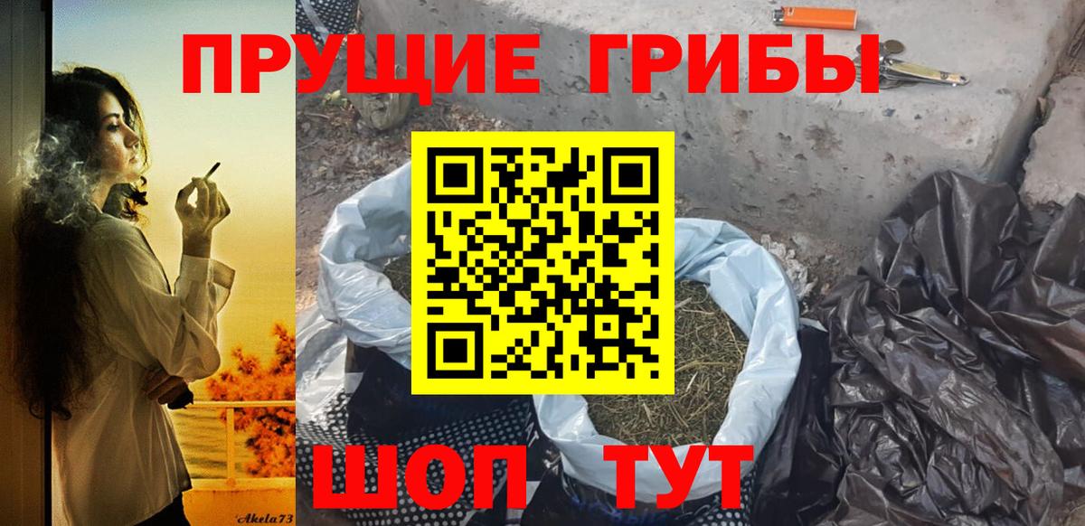 Псилоцибиновые грибы GOLDEN TEACHER Фурманов